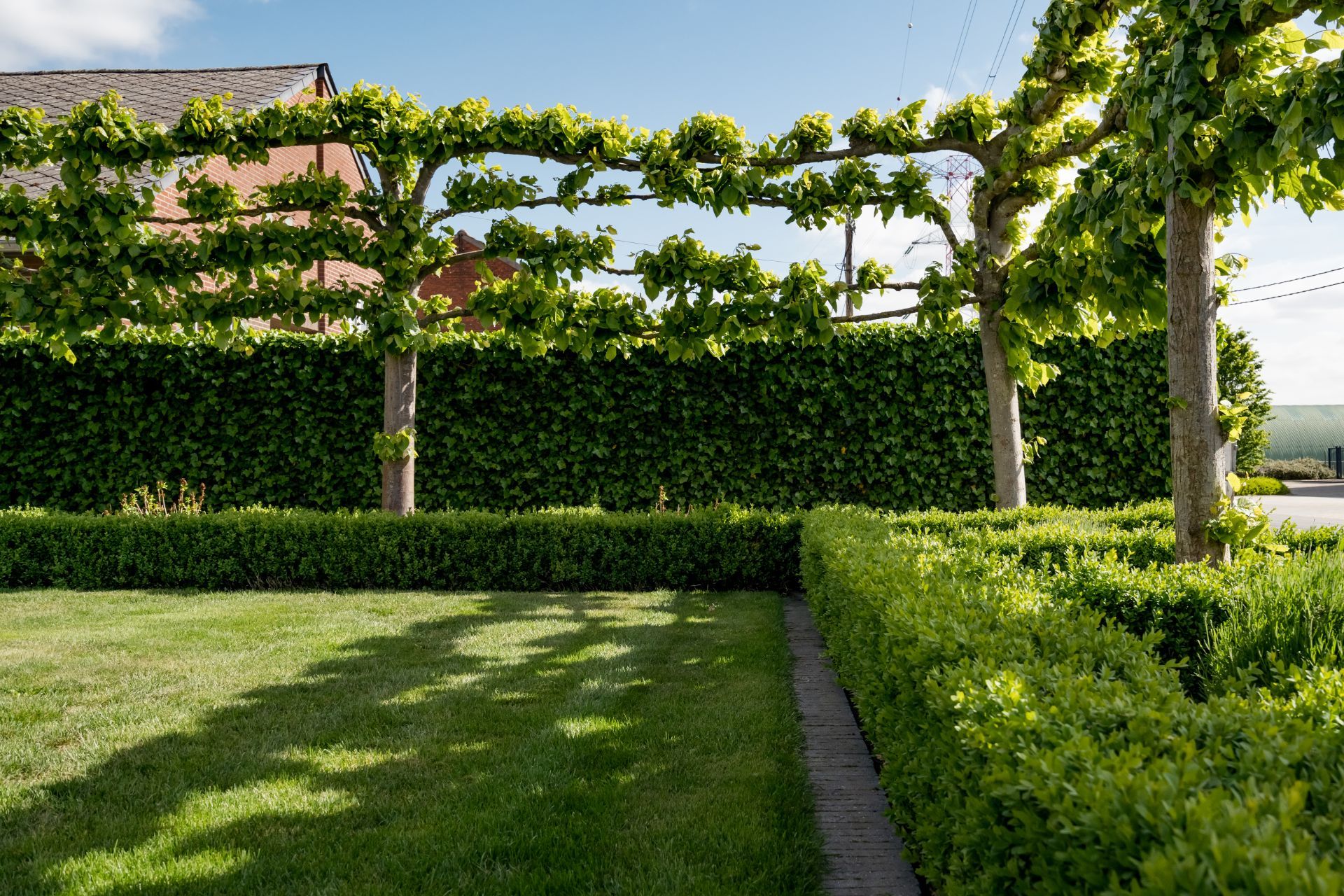 Een tuin aanleggen is vakmanschap