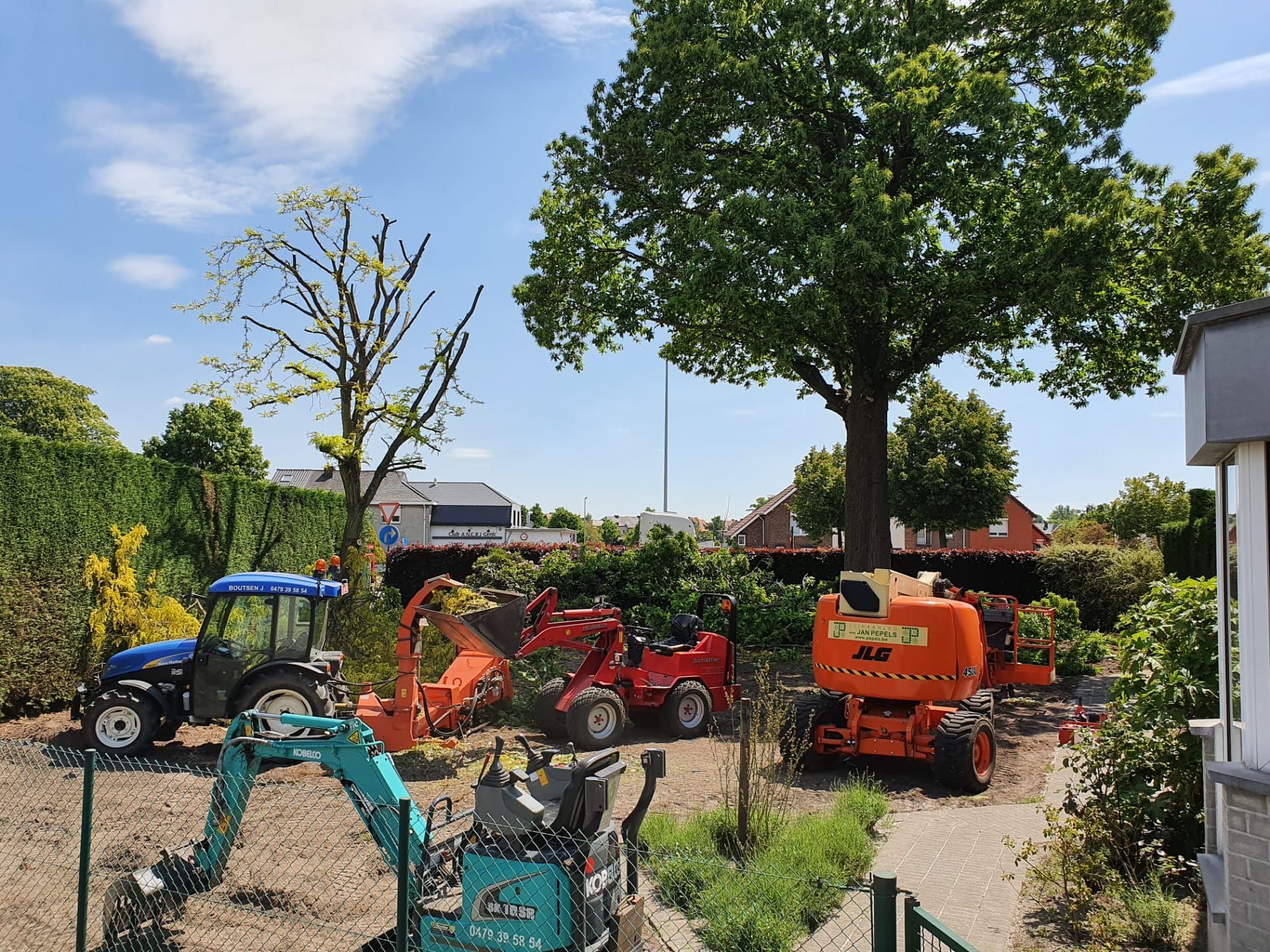 Wij snoeien of kappen bomen aan een gunstig tarief